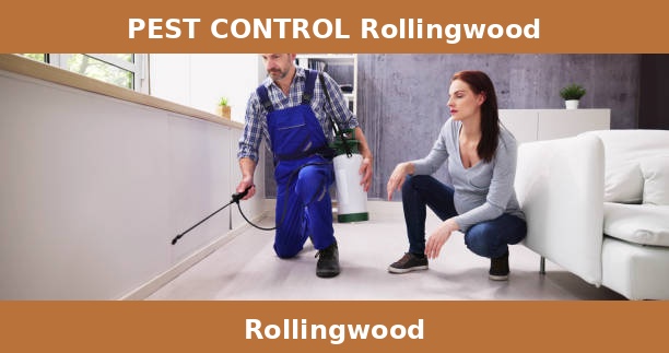 PEST CONTROL Rollingwood